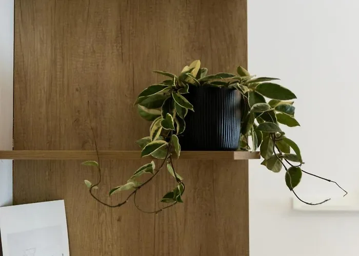 Nest - Quiet & Cozy Near The Centre Apartamento *